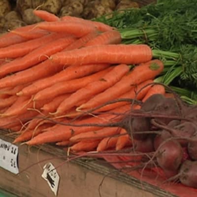 Porkkanoita ja punajuuria