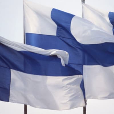 Suomen liput liehuvat