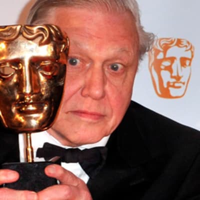 David Attenborough poseeraa Bafta-palkinnon kanssa