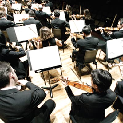 Philharmonian viulisteja takaviistosta otetussa kuvassa