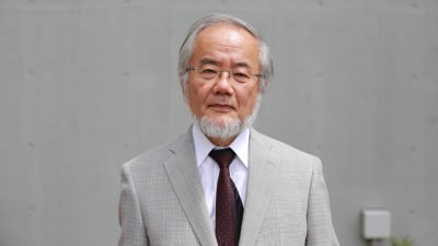 Nobelpriset i medicin till Yoshinori Ohsumi