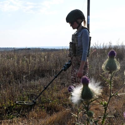 En minröjare letar efter minor på ett fält nära staden Derhatjí, i Charkiv-regionen. Bilden tagen söndagen den 1 oktober. 
