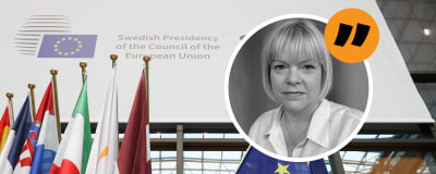 EU-flaggan och medlemsländernas flaggor, Mette Nordströms bild ovanpå i vinjett.