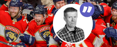 NHL-kolumnbild med Anders Nordenswans nuna.