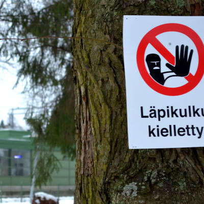 Träd med skylt med texten "Läpikultu kielletty"