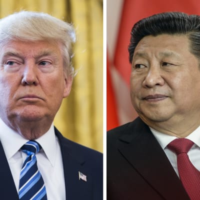 Porträtt på Donald Trump och Xi Jinping