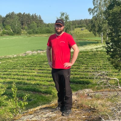 Mies seisoo kalliolla ja hänen takanaan on mansikkamaa.