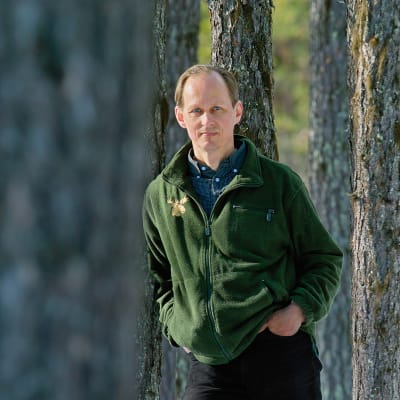 Kirjailija Mikael Niemi puiden keskellä metsässä.