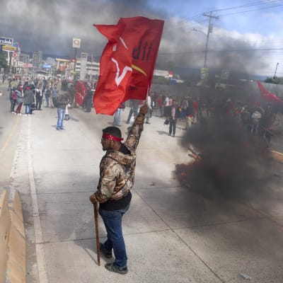 Supportrar av oppositionskandidaten Salvador Nasralla demonstrerar och viftar med flagga. 