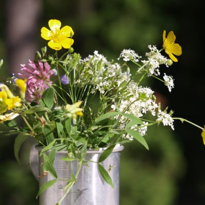 Blombukett, sommarblommor