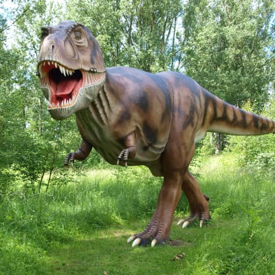 Tyrannosaurusmodell i Dino Park i Rügen, Tyskland