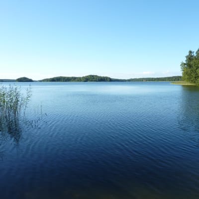 Dragsfjärden en sommardag.