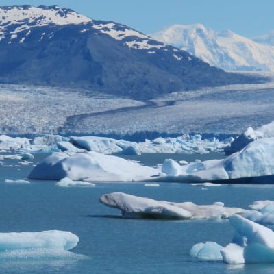 Sulava jäätikkö Argentinassa: vuori taustalla ja sen etualalla jäätikkö, joka valuu mereen.