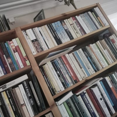 Kuva puisesta kirjahyllystä joka on täynnä kirjoja. Hyllyn päällä on vanhoja äänilevyjä.