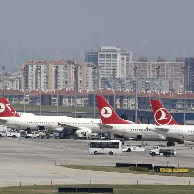 Turkish Airlines -flyg vid flygplatsen i Istanbul