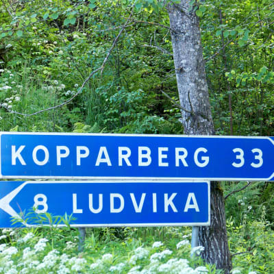 En vägskylt för den svenska staden Ludvika i Dalarnas län. 