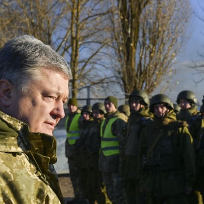 Ukrainas president Petro Porosjenko hoppas att Nato skickar krigsfartyg till Azovska sjön för att konfrontera Ryssland 