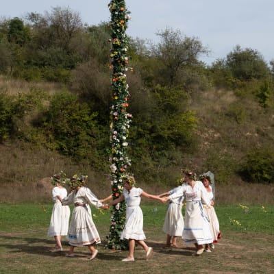 Dans runt midsommarstången