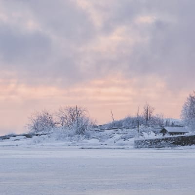 Kylmä pakkaspäivä Helsingissä
