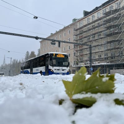 Etualalla on lumipenkere ja lehti, taustalla näkyy linja 7:n Nysse-bussi.