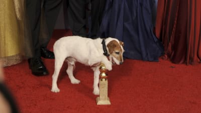 uggie the dog på golden globe awards