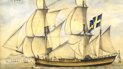 Barkskeppet Fortuna byggt 1792 vid Umeälven. Oljemålning utförd i Ancona i Italien 1795. Sjöfartens stora betydelse för Umeå framgår på många ställen i Pehr Stenbergs  verk. Han beskriver initierat sina resor på segelfartyg till och från Åbo via Stockholm