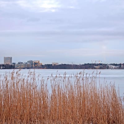 Utsikten från Munksnäs strand.