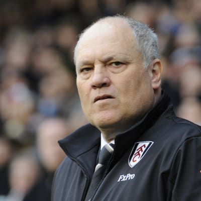 Martin Jol, Fulham 2012