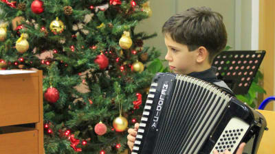 Pieni poika soittaa harmonikkaa joulukuusen edessä.