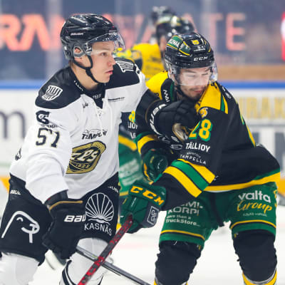 TPS ja Ilves pelaamassa TPS:n 100-vuotisjuhlaottelussa lokakuussa 2022.