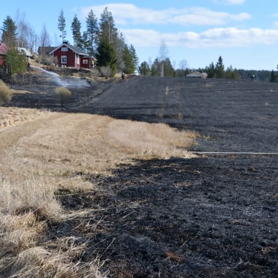 gräsbrand i Gammelgård i Borgå på pohjakkavägen, svartbränd åker en solig vårdag