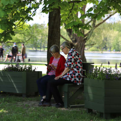 Pariskunta istuu puiston penkillä Pikku-Vesijärven rannassa
