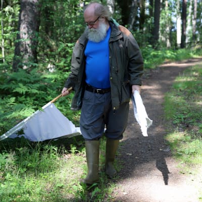 Metsäeläintieteen emeritiusprofessori Heikki Henttonen keräämässä punkkeja tutkimusalueeltaan Kuhmoisissa.