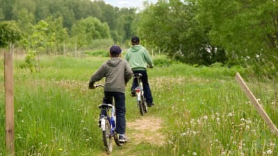 Två pojkar cyklar på en stig ute på landet.