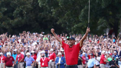 Tiger Woods firar.