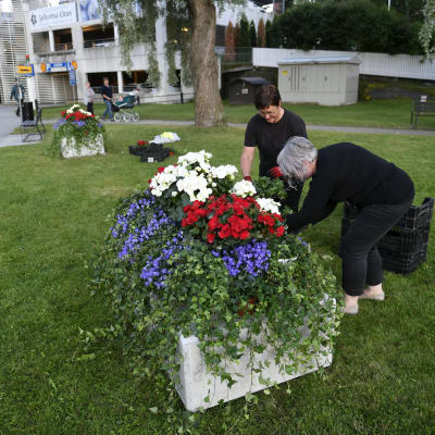 Betongklossar prydda med blommor har placerats ut inför Putins besök i Nyslott.