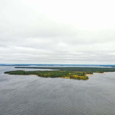 Kuostonsaari ilmasta kuvattuna.