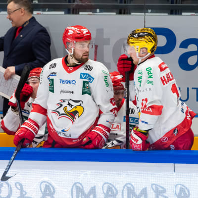 Vaasan Sportin hyökkääjä Axel Holmström ja kultakypärä, hyökkääjä Simon Hjalmarsson seisovat vaihtoaitiossa.