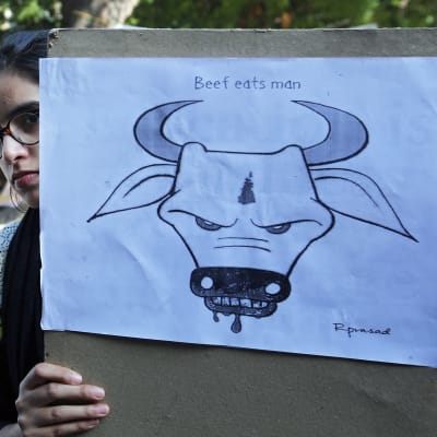 Indien försöker förbjuda nötkött