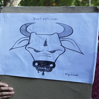 Indien försöker förbjuda nötkött