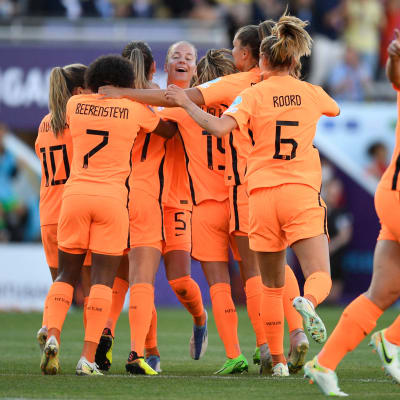 Nederländerna firar mot Portugal.