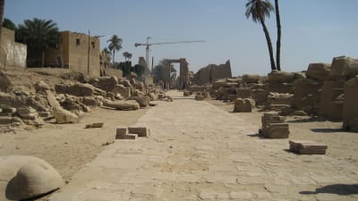 Utgrävning i Egypten
