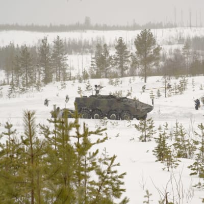 Kainuun Prikaatin sotilaat jalkautuneet lumiselle uralle Patrian AMV -henkilökuljetusvaunusta.