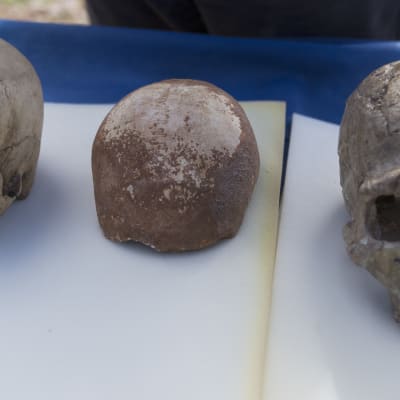 Skallfynd placerat mellan nutidsmänniskas och neandertalares skalle.