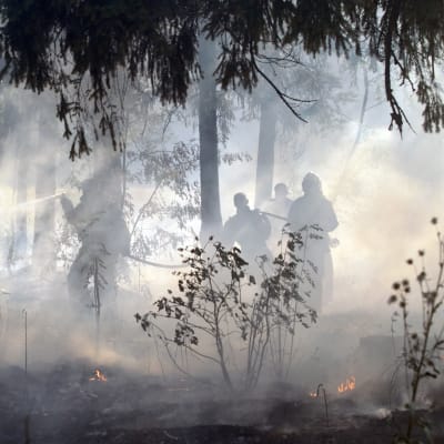 Brandbekämpning 15 km från Moskva den 5 augusti 2010.