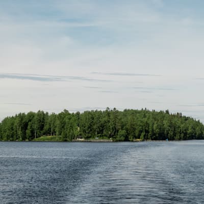 Tampereen Viikinsaari kuvattuna kauempaa järveltä.