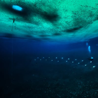 Dykare samlar in forskningsmaterial under isen i Antarktis.