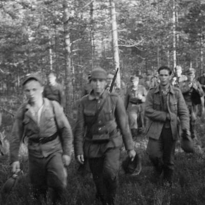 Vetäytyviä miehiä 14.6.1944