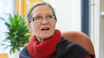 Kirsi Vähäkangas, professor i toxikologi, varnar för att nanosilver kan skada inre organ. 