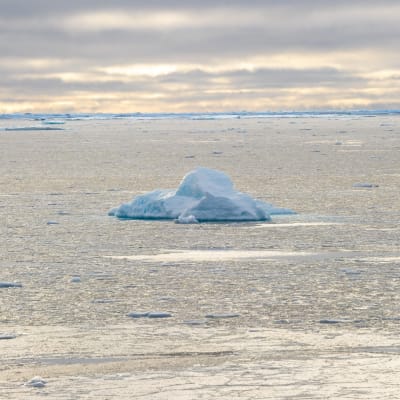 Isberg på drift i Nordvästpassagen